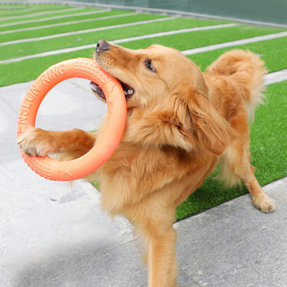 1pc orange Hundes pielzeug Hau – Flying Disc Dog Training Toy Bewertung und Preis