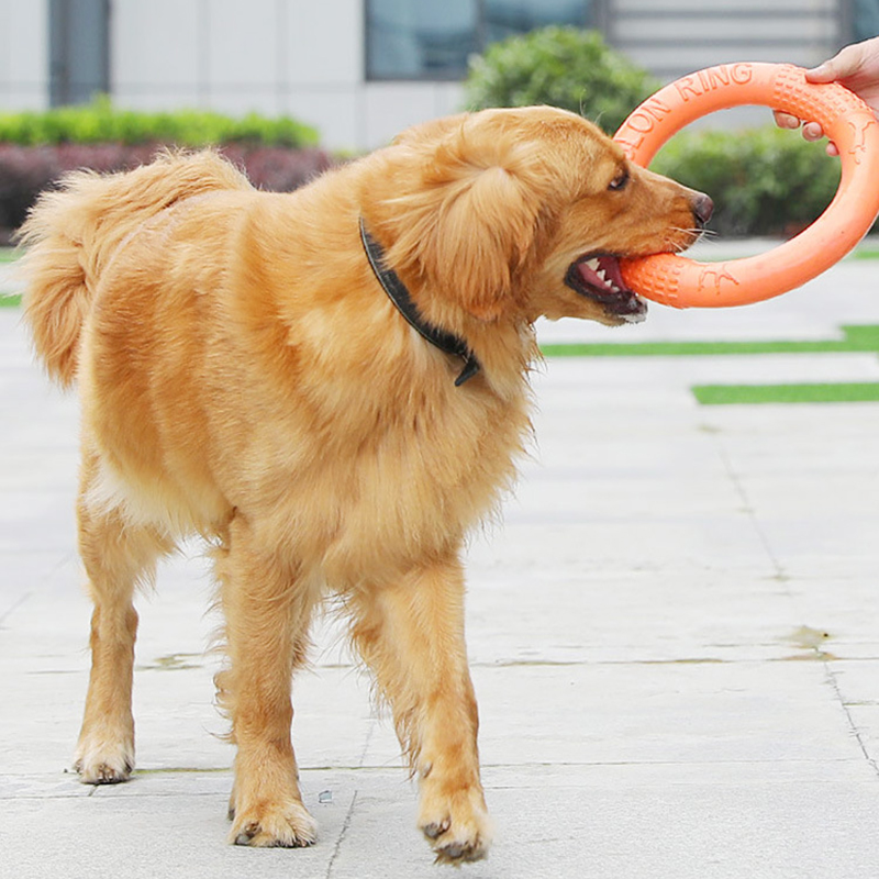 1pc orange Hundes pielzeug Hau – Flying Disc Dog Training Toy Bewertung und Preis