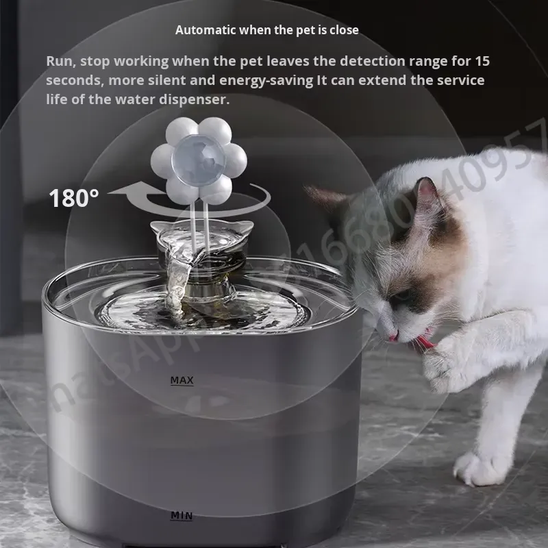 Automatischer Haustier-Wassers – Pet Feeders Bewertung und Preis