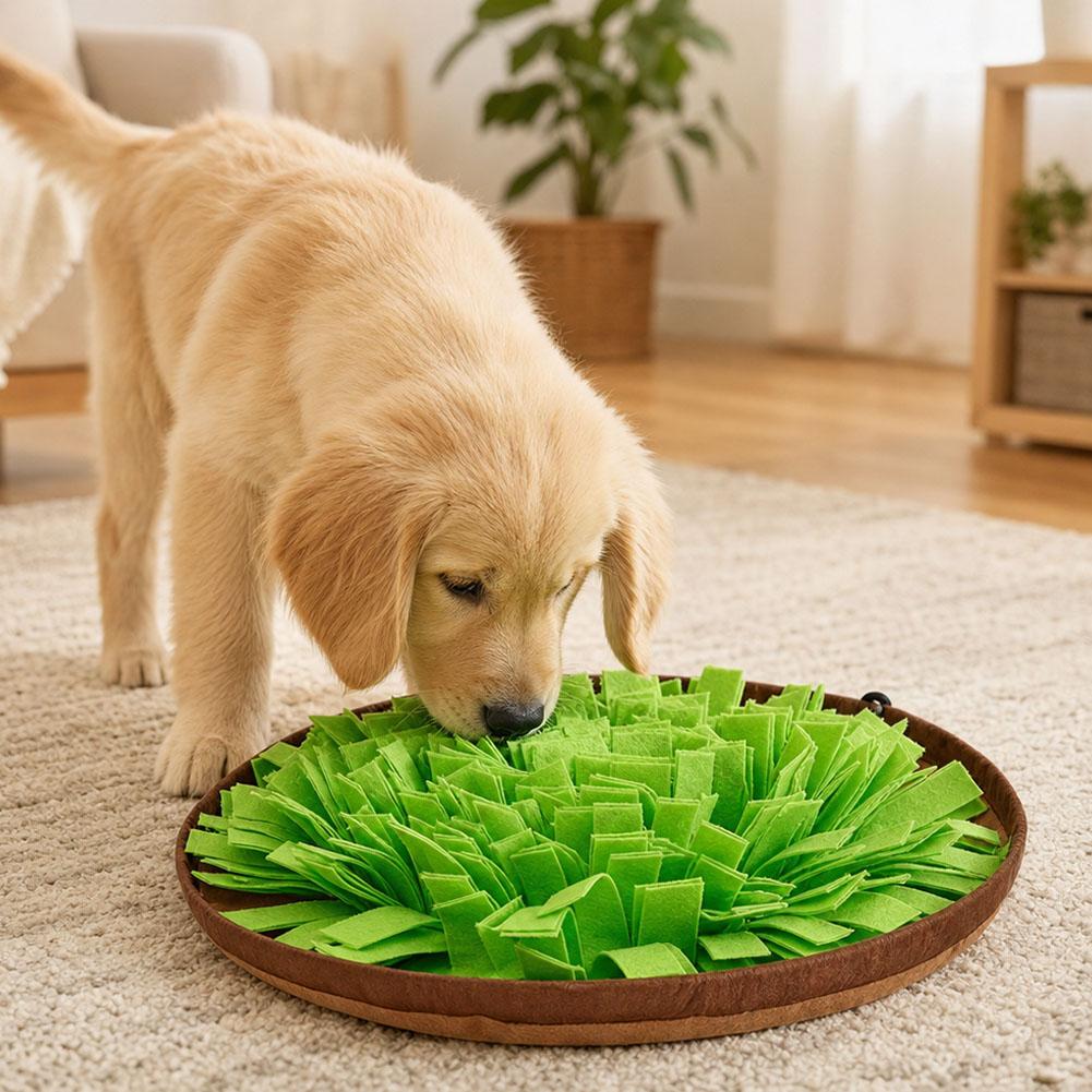Hundeschnüffelmatte Interaktiv – Dog Puzzle Feeder Toy Bewertung und Preis