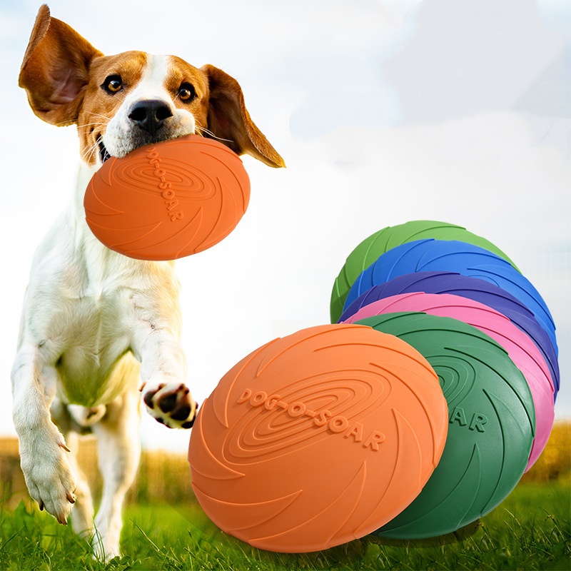 Interaktives Silikon-Flugschei – Flying Disc Dog Training Toy Bewertung und Preis