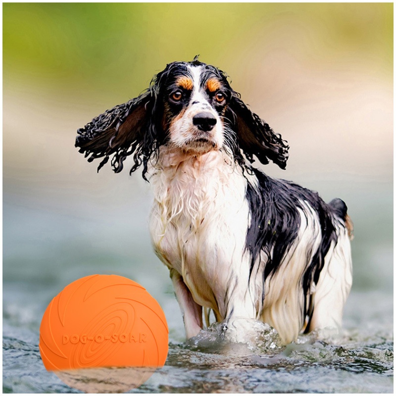 Interaktives Silikon-Flugschei – Flying Disc Dog Training Toy Bewertung und Preis