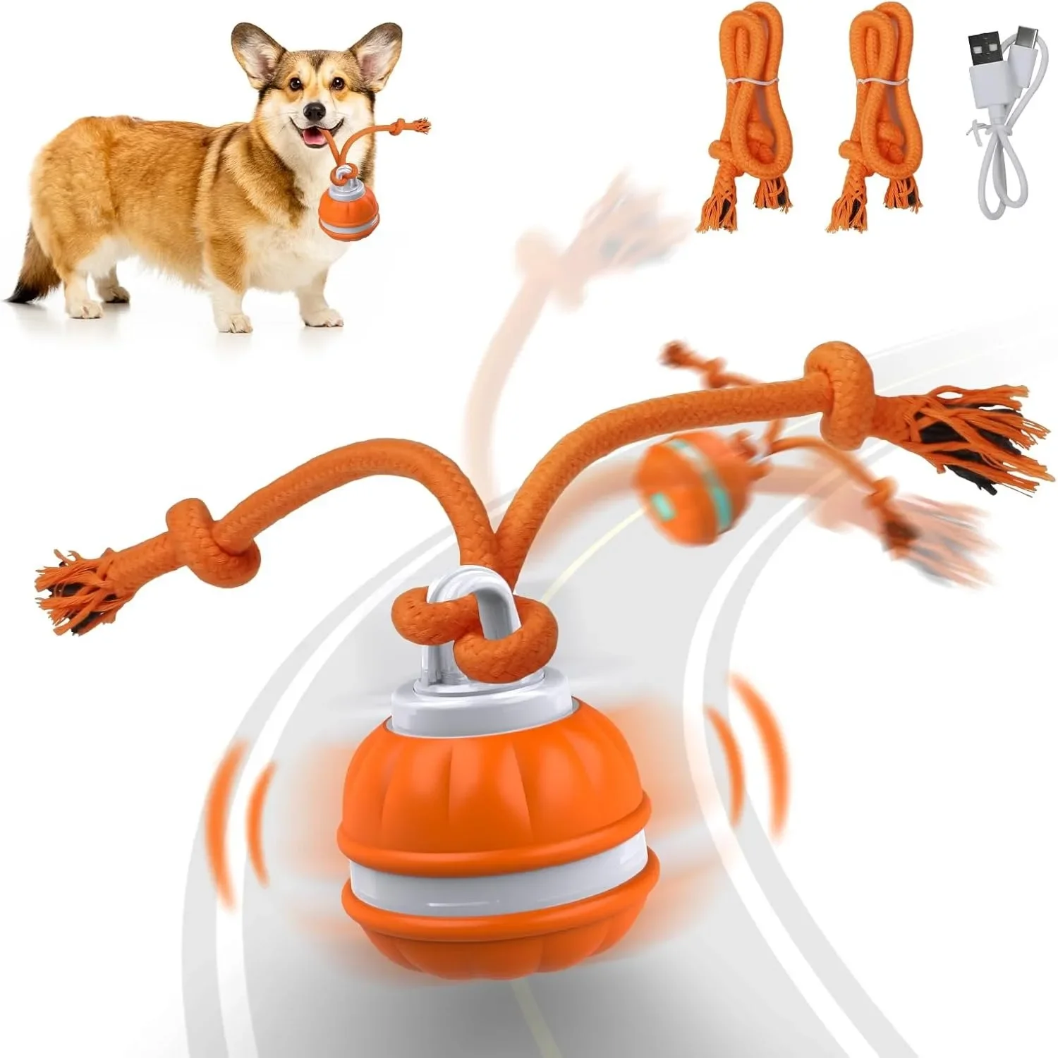 Interaktives Spielzeug für Hun – Automatic Moving Dog Ball Bewertung und Preis