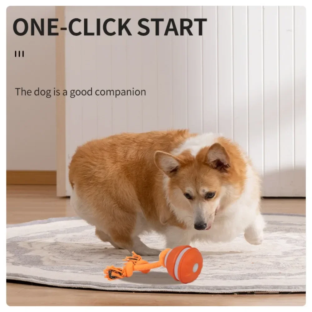 Interaktives Spielzeug für Hun – Automatic Moving Dog Ball Bewertung und Preis