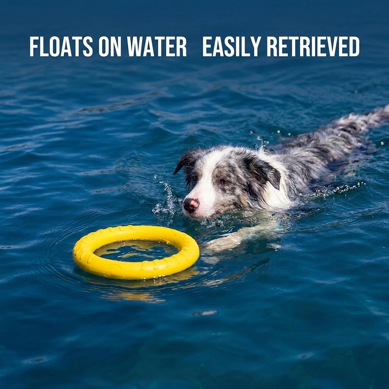 Hundespielzeug, fliegende Fris – Flying Disc Dog Training Toy Bewertung und Preis