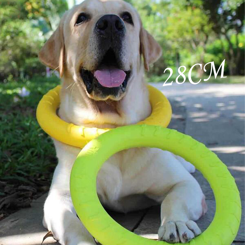 Hundespielzeug, fliegende Fris – Flying Disc Dog Training Toy Bewertung und Preis