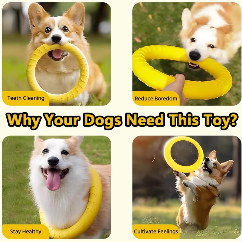 Hundespielzeug, fliegende Fris – Flying Disc Dog Training Toy Bewertung und Preis
