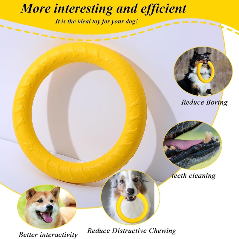 Hundespielzeug, fliegende Fris – Flying Disc Dog Training Toy Bewertung und Preis