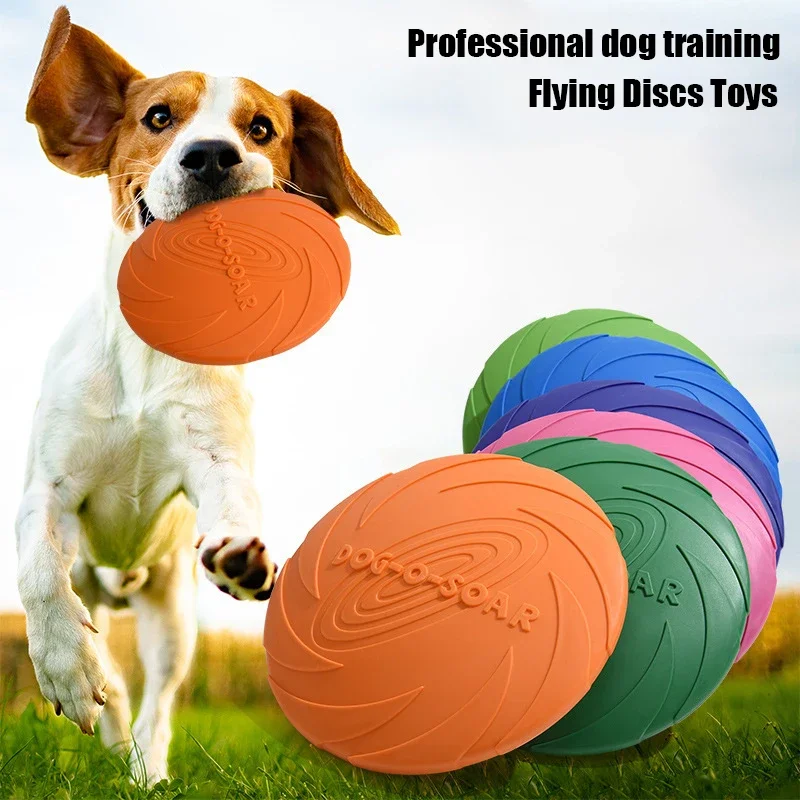 G Großer Hund Goldenes Fell Ha – Flying Disc Dog Training Toy Bewertung und Preis