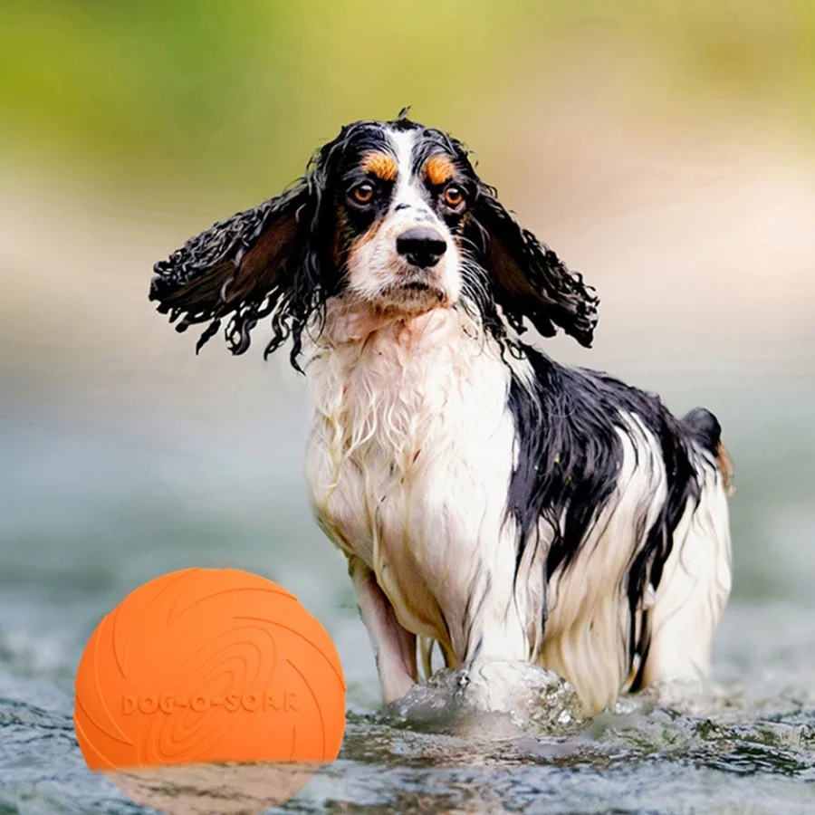 G Großer Hund Goldenes Fell Ha – Flying Disc Dog Training Toy Bewertung und Preis