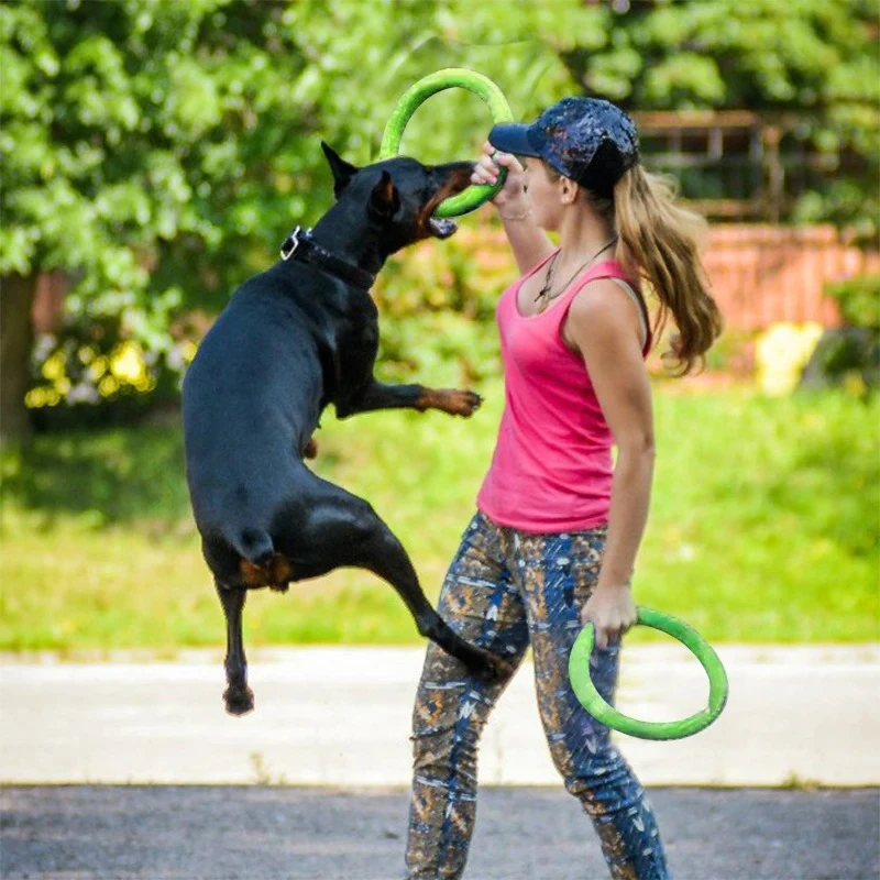 Hundes pielzeug Haustier Flugs – Flying Disc Dog Training Toy Bewertung und Preis
