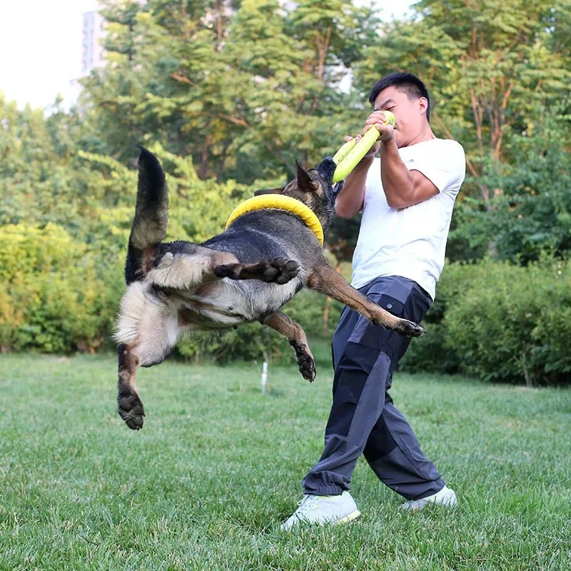 Hundes pielzeug Haustier Flugs – Flying Disc Dog Training Toy Bewertung und Preis