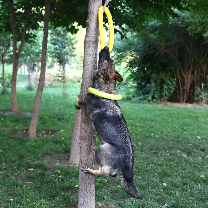 Hundes pielzeug Haustier Flugs – Flying Disc Dog Training Toy Bewertung und Preis