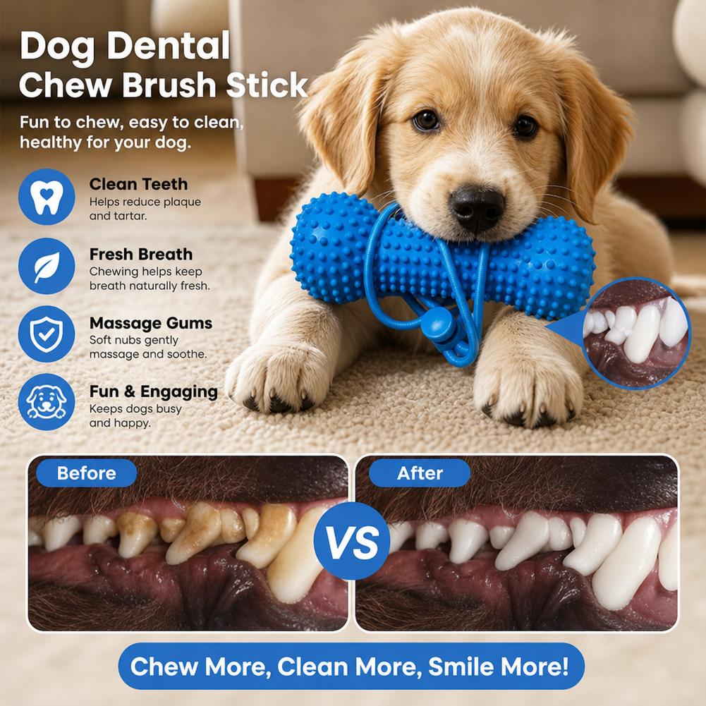 Hundezahnungs-Zahnputzstift, P – Teeth Cleaning Dog Chew Bone Bewertung und Preis