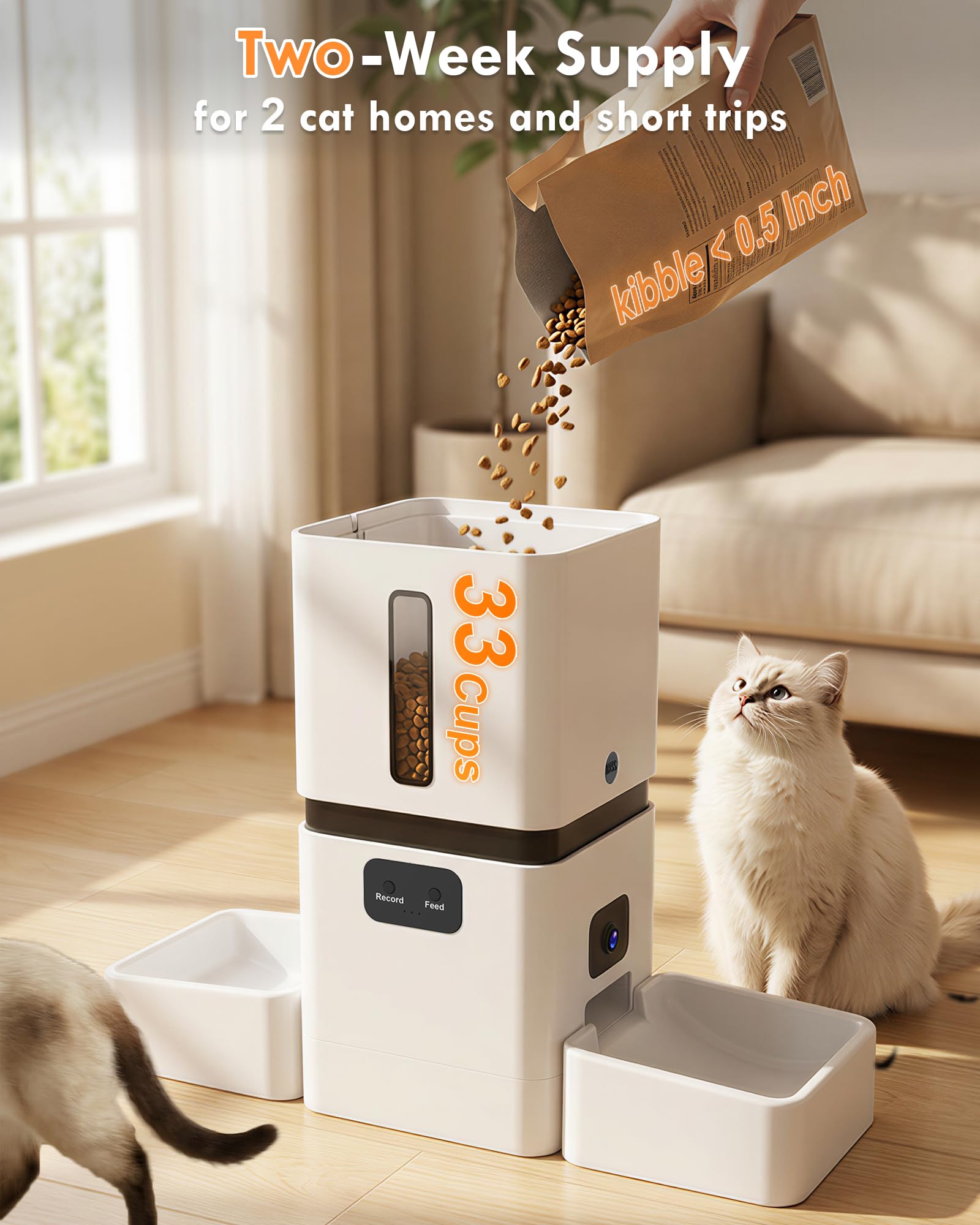 5GHz WiFi 8L Intelligenter Aut – Pet Feeders Bewertung und Preis